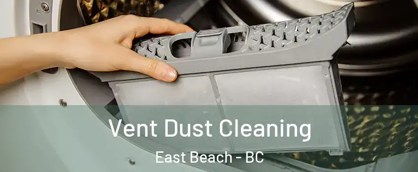  Vent Dust Cleaning East Beach - BC