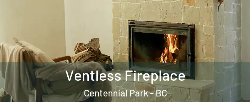  Ventless Fireplace Centennial Park - BC