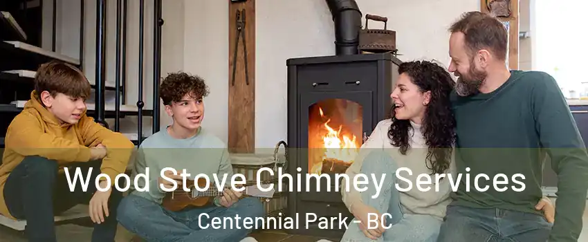  Wood Stove Chimney Services Centennial Park - BC