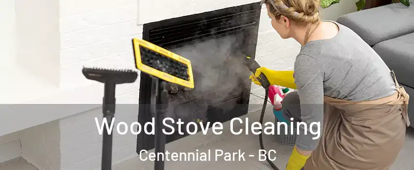  Wood Stove Cleaning Centennial Park - BC