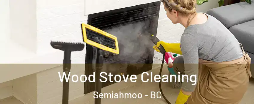  Wood Stove Cleaning Semiahmoo - BC