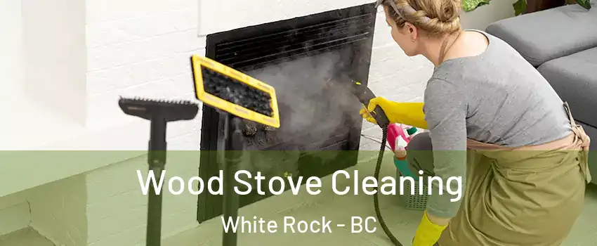 Wood Stove Cleaning White Rock - BC