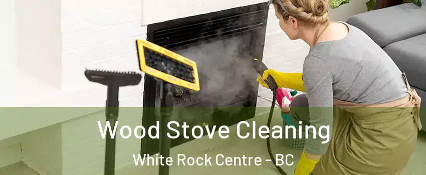  Wood Stove Cleaning White Rock Centre - BC