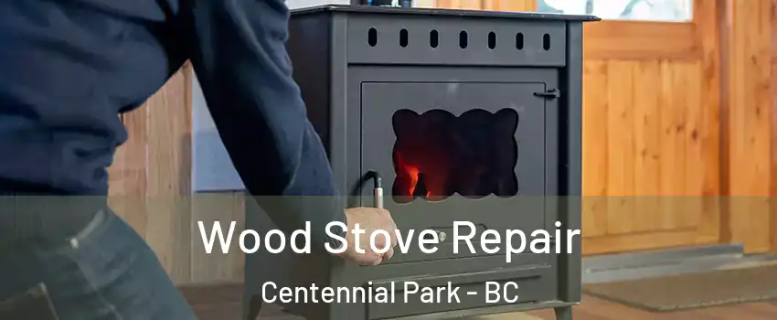  Wood Stove Repair Centennial Park - BC